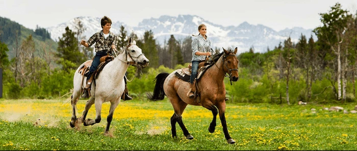 Confident plus-size woman riding Carlton a horse through a field with a smile on her face.